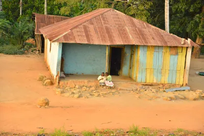 DSC_4306 (Large).JPG